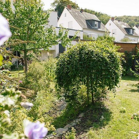 Ferienwohnung Am Breyer Talbach Eksteriør bilde